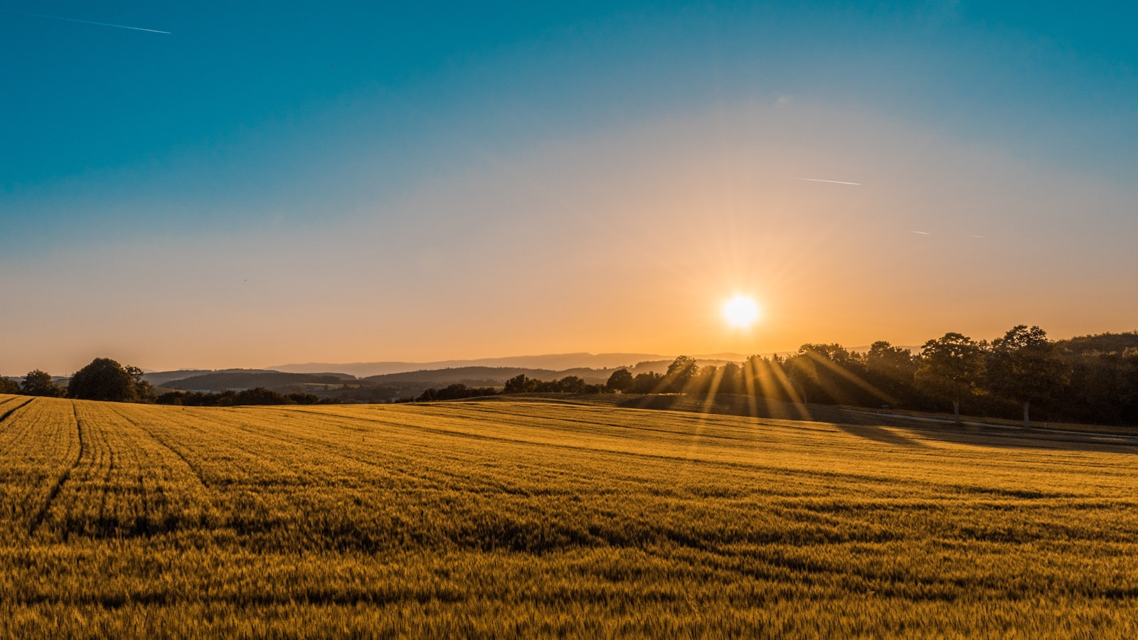 Golden hills landscape near Tehachapi California