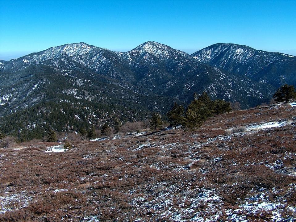 Tree-covered crest of the eastern Tehachapi Mountains